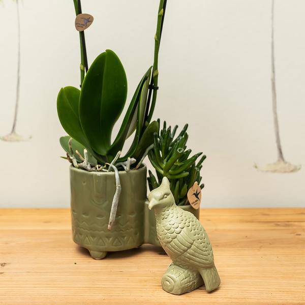 Deko-Kakadu auf Stab – Grün – 12cm – Ornament aus Polystone – Zierfigur für Blumentöpfe & Pflanzensets – Stylischer Vogel als Deko-Highlight 