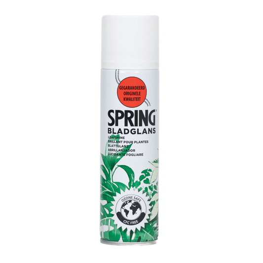 Blattglanz - 750ml 
