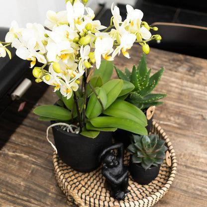 Ornament Sitzender Affe – Schwarz – Dekofigur aus Polystone – 13cm hoch – Handgefertigte Skulptur – Für Zimmerpflanzen & Interieur – Dekoration Wohnzimmer 