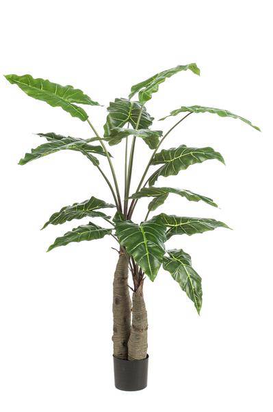 Kunstpflanze - Alocasia - 150 cm 