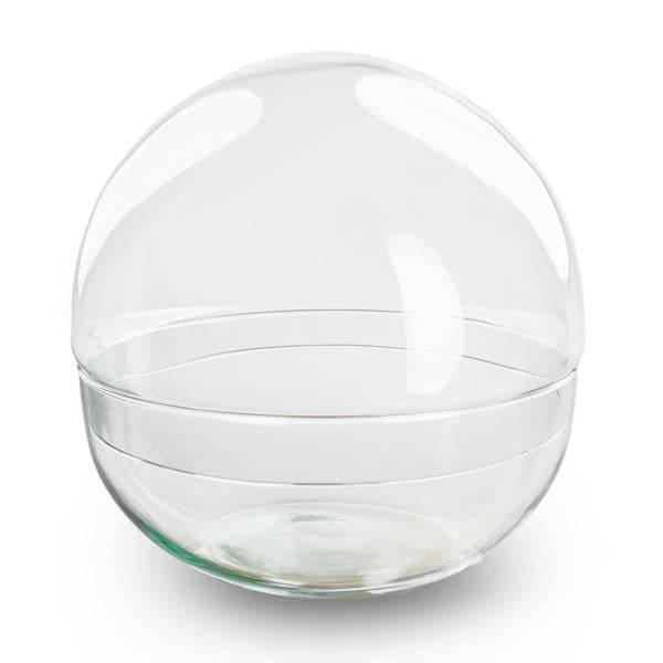 Flaschengarten – Terrarienflasche Dome – geschlossenes Kuppel-Terrarium aus recyceltem Glas – Ø28cm – ↑28cm – Klarglas – DIY Pflanzengefäß 