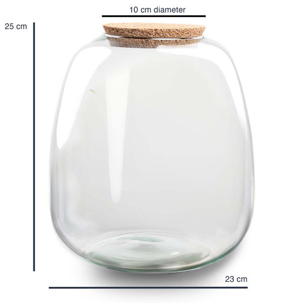 Terrarium Flasche 'Emma' 25x23 cm - Glasflasche 