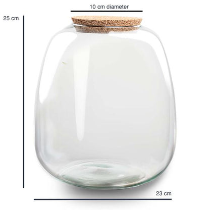 Terrarium Flasche 'Emma' 25x23 cm - Glasflasche 