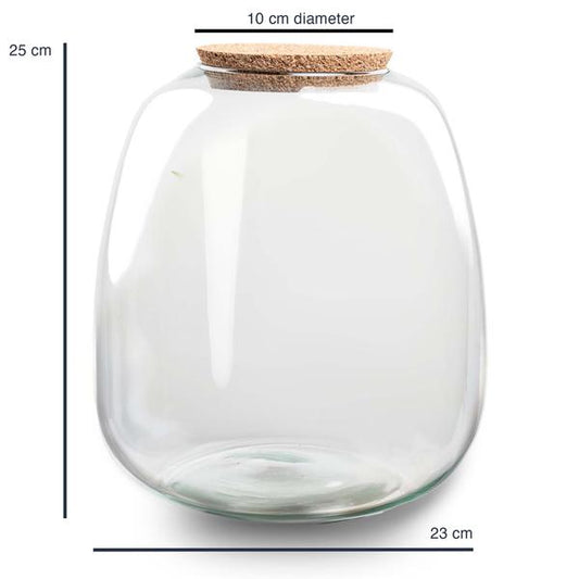 Terrarium Flasche 'Emma' 25x23 cm - Glasflasche 