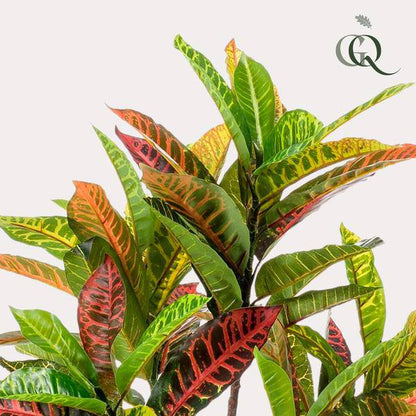 Kunstpflanze - Croton Codiaeum - Wunderstrauch - 95 cm 