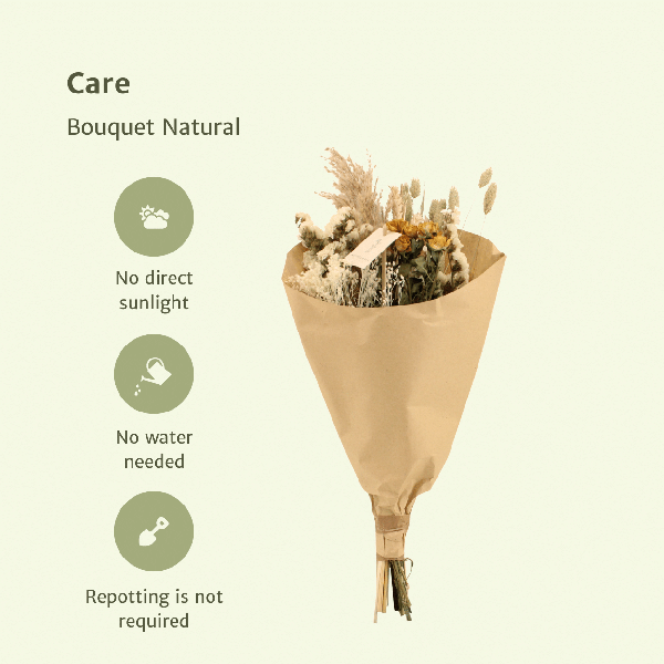 Trockenblumenstrauß – Feldblumen Natürlich – Ø20 cm – 50 cm hoch – Getrocknete Blumen & Graswedel – Natürliche Beigetöne & Weiß – Dekorative Trockenblumen für Innenräume 
