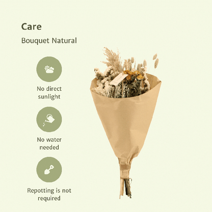 Trockenblumenstrauß – Feldblumen Natürlich – Ø20 cm – 50 cm hoch – Getrocknete Blumen & Graswedel – Natürliche Beigetöne & Weiß – Dekorative Trockenblumen für Innenräume 