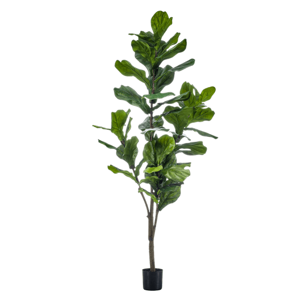 Kunstpflanze Ficus Lyrata – Geigen-Feige – 150 cm – Pflegeleicht & realistisch – Perfekt für Wohnzimmer & Büro 