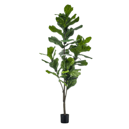 Kunstpflanze Ficus Lyrata – Geigen-Feige – 150 cm – Pflegeleicht & realistisch – Perfekt für Wohnzimmer & Büro 