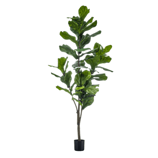 Kunstpflanze Ficus Lyrata – Geigen-Feige – 150 cm – Pflegeleicht & realistisch – Perfekt für Wohnzimmer & Büro 