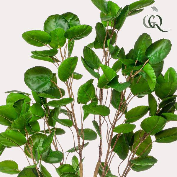 Künstliche Pflanze - Polyscias - Aralia - 150 cm 