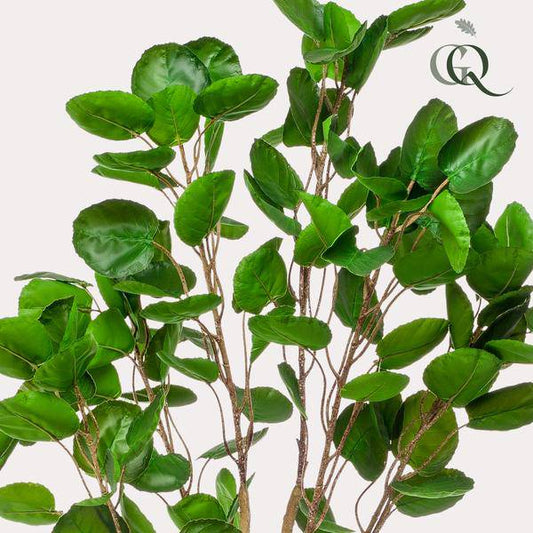 Künstliche Pflanze - Polyscias - Aralia - 150 cm 