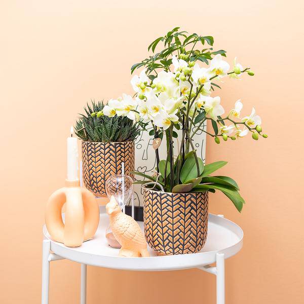 Deko-Kakadu – Pfirsich – 12cm – Ornament aus Polystone – Zierfigur für Blumentöpfe & Pflanzensets – Stilvolle Vogel-Deko 