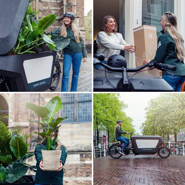 Außenseiterbox – 8 Pflanzen - Ø12cm – Vielfältige Blattstrukturen & Farben – Zimmer- und Gartenpflanzen-Mix – Perfekt für Pflanzenliebhaber 