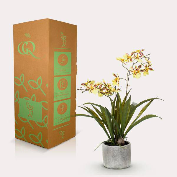 Kunstpflanze - Orchidee - Gelb - ↨45cm 