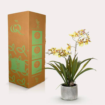 Kunstpflanze - Orchidee - Gelb - ↨45cm 