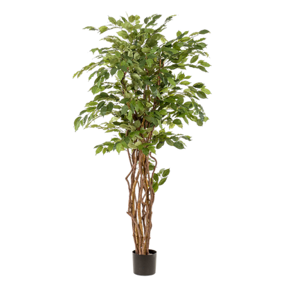 Ficus Liana – Künstliche Zimmerpflanze – ↕170 cm – Realistische Stiefmütterchen-Pflanze – Dekoration für Wohnzimmer, Flur & Wintergarten 