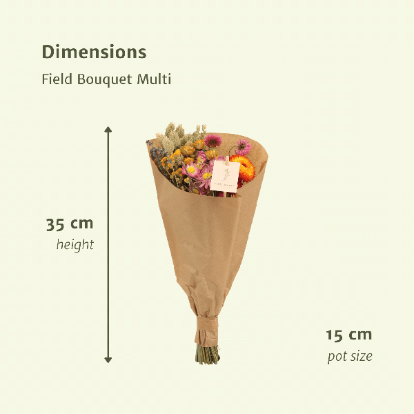 Trockenblumen Feldblumenstrauß Multi – Buntes Trockenblumen Bouquet – Ø15 cm – ca. 35 cm hoch – Dekorativer Blumenstrauß für Innenräume – Pflegeleicht & langlebig 