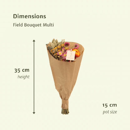 Trockenblumen Feldblumenstrauß Multi – Buntes Trockenblumen Bouquet – Ø15 cm – ca. 35 cm hoch – Dekorativer Blumenstrauß für Innenräume – Pflegeleicht & langlebig 
