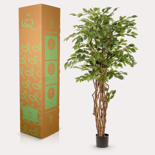 Ficus Liana – Künstliche Zimmerpflanze – ↕170 cm – Realistische Stiefmütterchen-Pflanze – Dekoration für Wohnzimmer, Flur & Wintergarten 