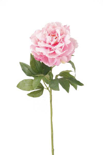 Künstliche Blumenstrauß Pfingstrosen Hellrosa – 5 Stück je 65cm – Realistische Kunstblumen – Romantischer Deko Blumenstrauß – Langlebige & pflegeleichte Dekoration für Zuhause, Büro & Events 