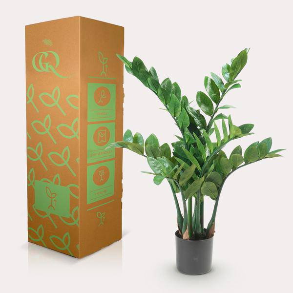 Kunstpflanze - Zamioculcas - Zimmerpalme - 70 cm 