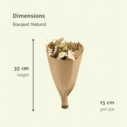 Trockenblumen Feldblumenstrauß Natürlich – Blumenstrauß – Ø15cm ↕35cm – Natürliche Farben – Getrocknete Blumen – Nachhaltige Deko – Pflegefrei 