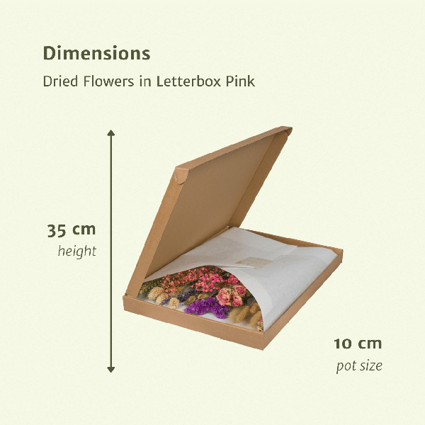 Trockenblumen im Briefkasten Rosa – Eleganter getrockneter Blumenstrauß – Sanfte Weiß-, Beige- & Hellrosa-Töne – Pflegefreie Deko – Perfekt für Innenräume 