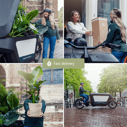 Trockenblumen im Briefkasten Rosa – Eleganter getrockneter Blumenstrauß – Sanfte Weiß-, Beige- & Hellrosa-Töne – Pflegefreie Deko – Perfekt für Innenräume 