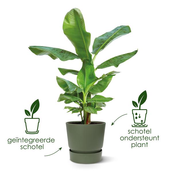 Greenville Pflanztopf Grün – D24 x H23 – Moderner Blumentopf für Innen & Außen – Stilvolles Pflanzgefäß – Eleganter Übertopf für Zimmerpflanzen & Garten 