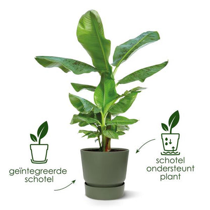 Greenville Pflanztopf Grün – D24 x H23 – Moderner Blumentopf für Innen & Außen – Stilvolles Pflanzgefäß – Eleganter Übertopf für Zimmerpflanzen & Garten 