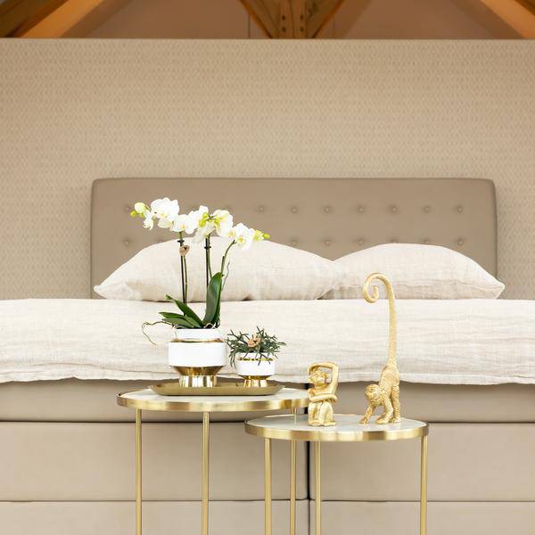 Weiße Phalaenopsis Orchidee Amabilis – 2–3 Zweige – Ø9cm Le Chic Deko-Topf – Gold mit weißen Details – Blühende Zimmerpflanze – 40cm hoch 