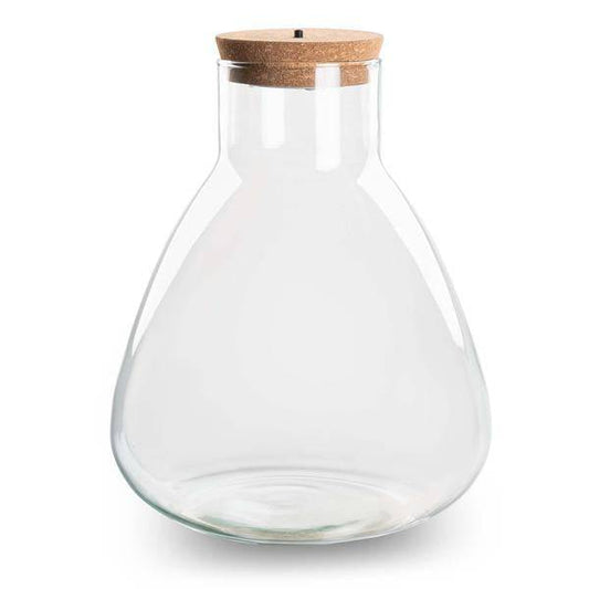 Flaschengarten – Terrarienflasche mit LED-Korken – Erlenmeyerkolben – Geschlossenes Terrarium – Höhe 30 cm – Deko mit Licht & Natur 