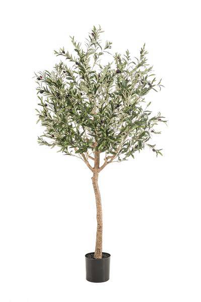 Kunstpflanze - Olea europaea - Olivenbaum - 180 cm 