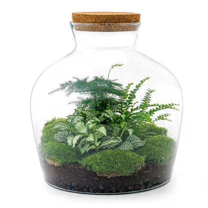 Flaschengarten - DIY - Fat Joe Grün - ↕ 30 cm 