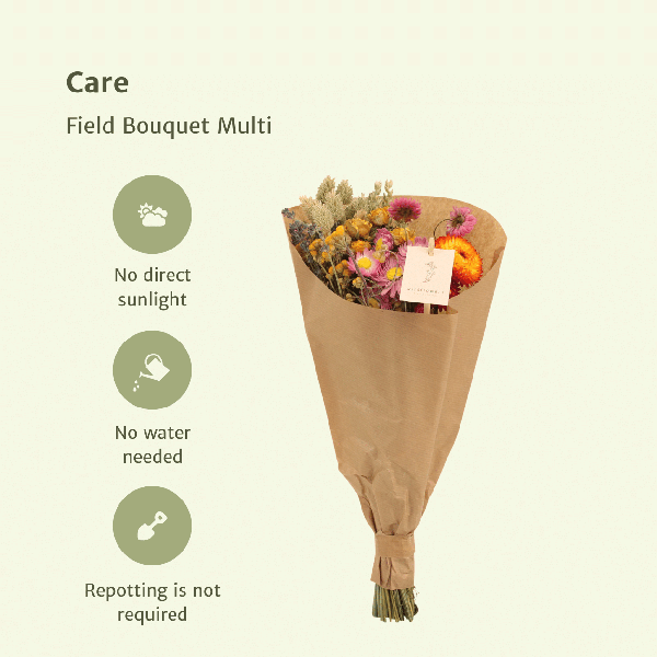 Trockenblumen Feldblumenstrauß Multi – Buntes Trockenblumen Bouquet – Ø15 cm – ca. 35 cm hoch – Dekorativer Blumenstrauß für Innenräume – Pflegeleicht & langlebig 