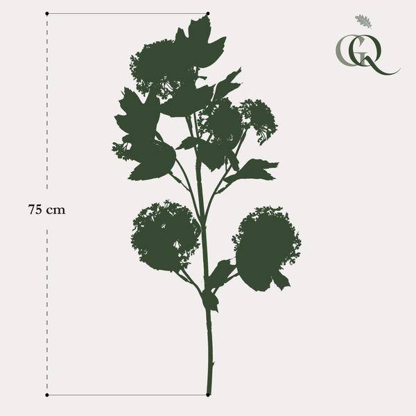Künstliche Blumen - Solo - Creme - Viburnum Opulus Zweige - 75cm - 4 Stück 