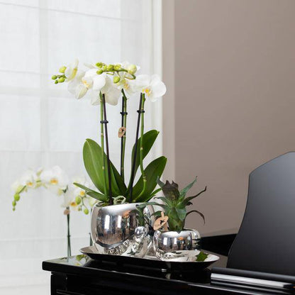 Ovales Tablett – Silber – Ø30cm – Dekoschale aus Metall – Für Pflanzen, Orchideen & Wohnaccessoires – Stilvolle Pflanzunterlage 