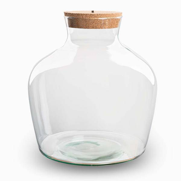Flaschengarten – Terrarienflasche Fat Joe – geschlossenes Terrarium mit Korkdeckel – H30cm – Klarglas – aus recyceltem Glas – DIY Pflanzengefäß 
