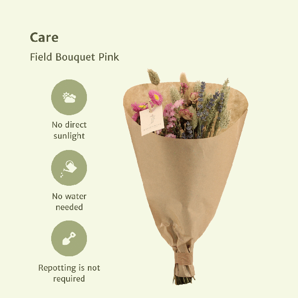 Trockenblumen Feldblumenstrauß Rosa – Blumenstrauß – Ø15cm x ↕35cm – Sanfte Rosatöne – Romantische Dekoration für Innenräume – Pflegefrei 