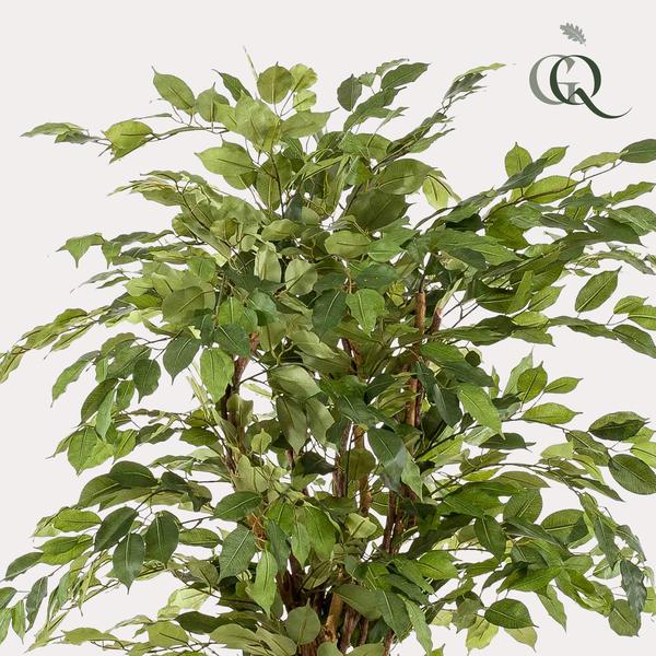 Ficus Liana – Künstliche Zimmerpflanze – ↕170 cm – Realistische Stiefmütterchen-Pflanze – Dekoration für Wohnzimmer, Flur & Wintergarten 