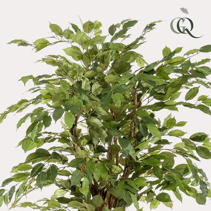 Ficus Liana – Künstliche Zimmerpflanze – ↕170 cm – Realistische Stiefmütterchen-Pflanze – Dekoration für Wohnzimmer, Flur & Wintergarten 