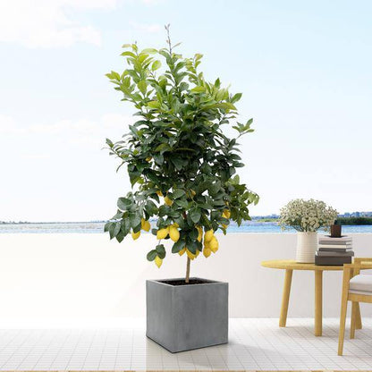 Block Topf Grau - XL - D60cm x H60cm 