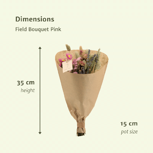 Trockenblumen Feldblumenstrauß Rosa – Blumenstrauß – Ø15cm x ↕35cm – Sanfte Rosatöne – Romantische Dekoration für Innenräume – Pflegefrei 
