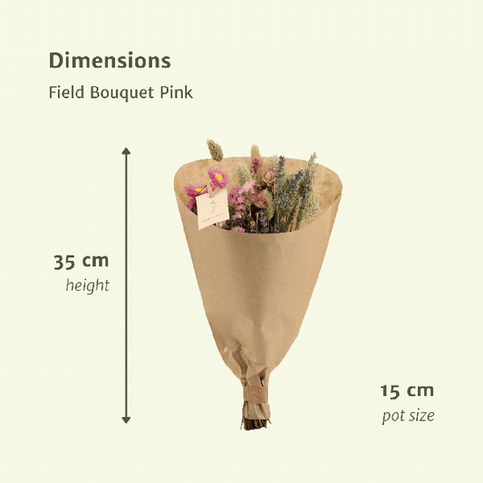 Trockenblumen Feldblumenstrauß Rosa – Blumenstrauß – Ø15cm x ↕35cm – Sanfte Rosatöne – Romantische Dekoration für Innenräume – Pflegefrei 