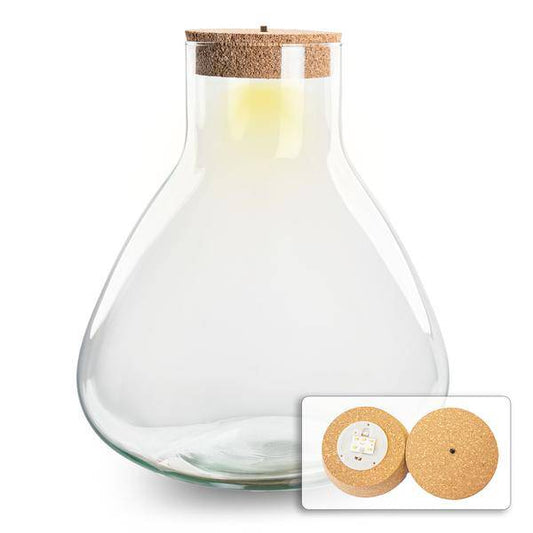 Flaschengarten – Terrarienflasche mit LED-Korken – Erlenmeyerkolben im Pyramidendesign – Geschlossenes Terrarium – Höhe 32 cm – Recyceltes Glas 