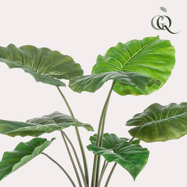 Kunstpflanze - Alocasia - 70 cm 
