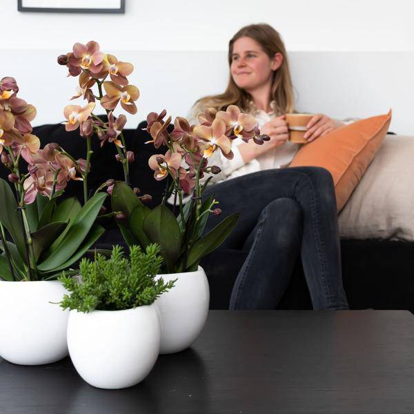 Blumentopf Bowl – Weiß – Keramik-Ziertopf Ø9cm – Handgefertigter Übertopf mit Wellenrand – Für Zimmerpflanzen & Sukkulenten 