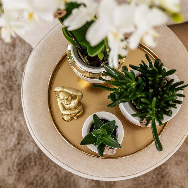 Le Chic Blumentopf – Weißer Keramiktopf mit goldenen Details – Ø9cm – Eleganter Ziertopf für Orchideen & Grünpflanzen – Stilvoller Deko-Übertopf 