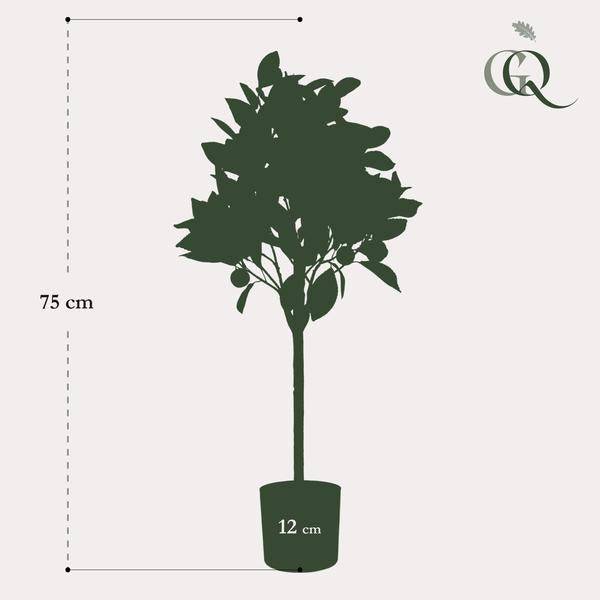 Kunstpflanze - Citrus Sinensis - Orangenbaum - 75 cm 